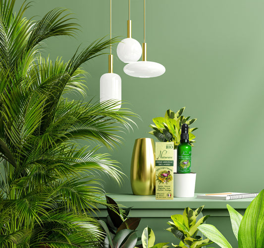 Decorative setup with plants, a gold vase, and green bottles against a green wall.
